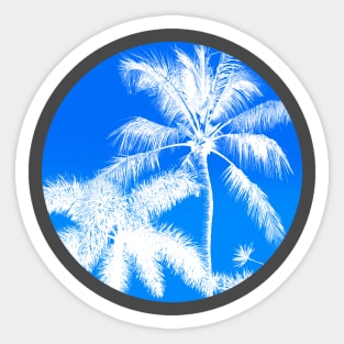 White Palms Blue Sky Sticker